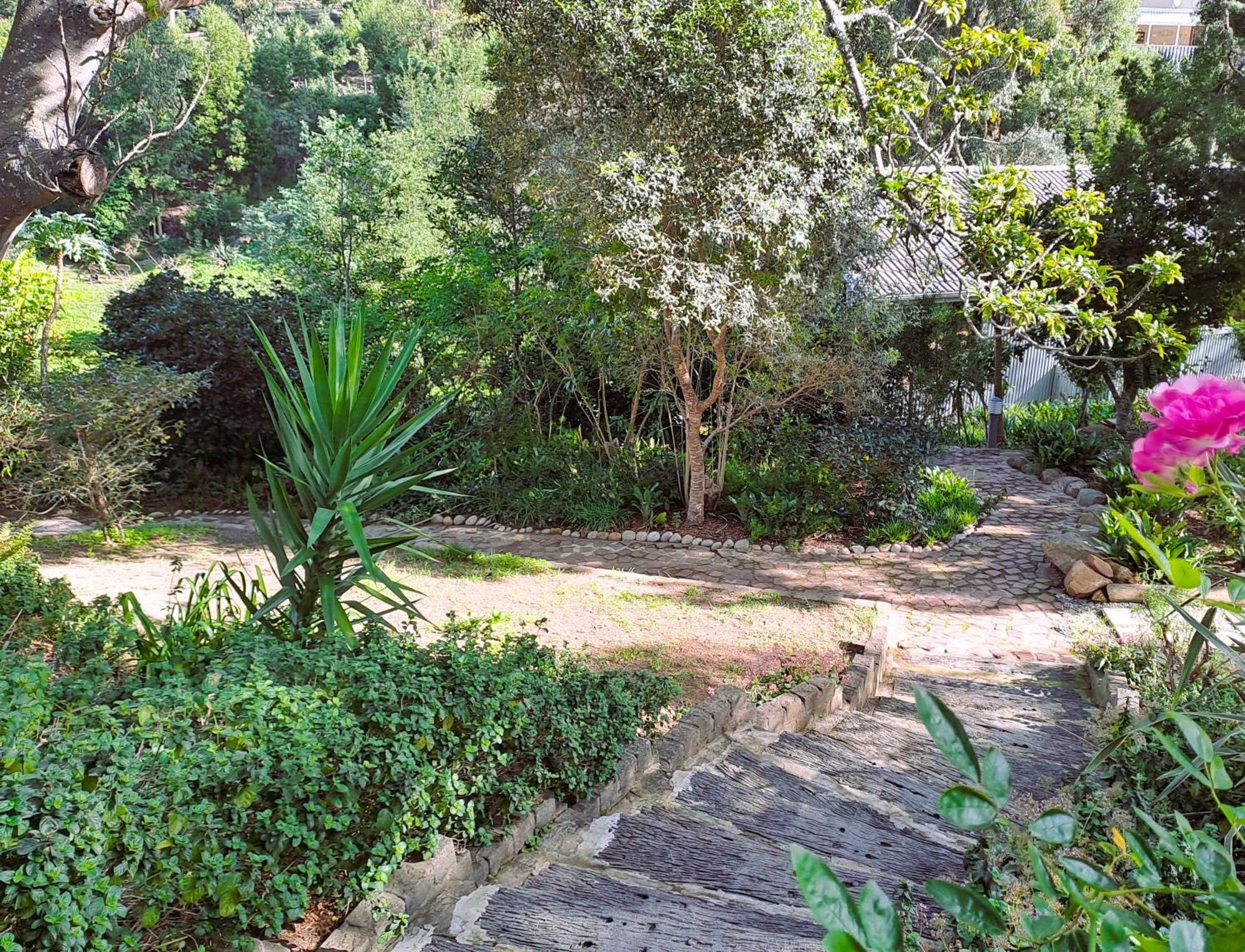 Badger's Lodge Knysna Eksteriør billede