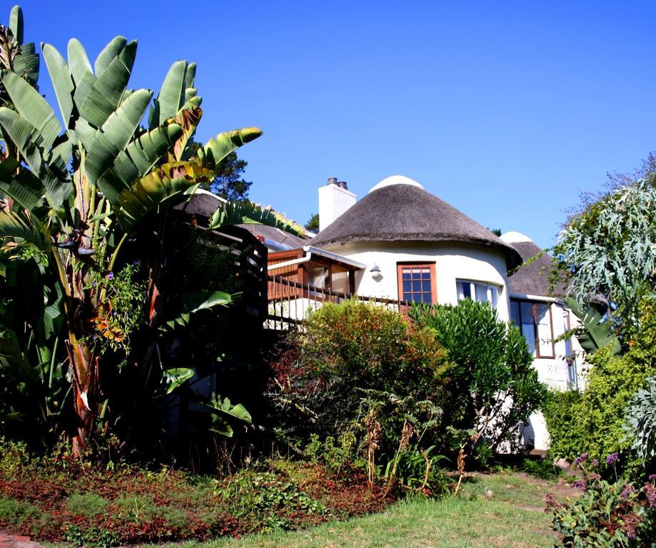 Badger's Lodge Knysna Eksteriør billede